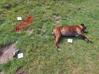 c6185c37-1d56-4ba3-b24b-2d04f0b8dc18 (1024x768).jpg